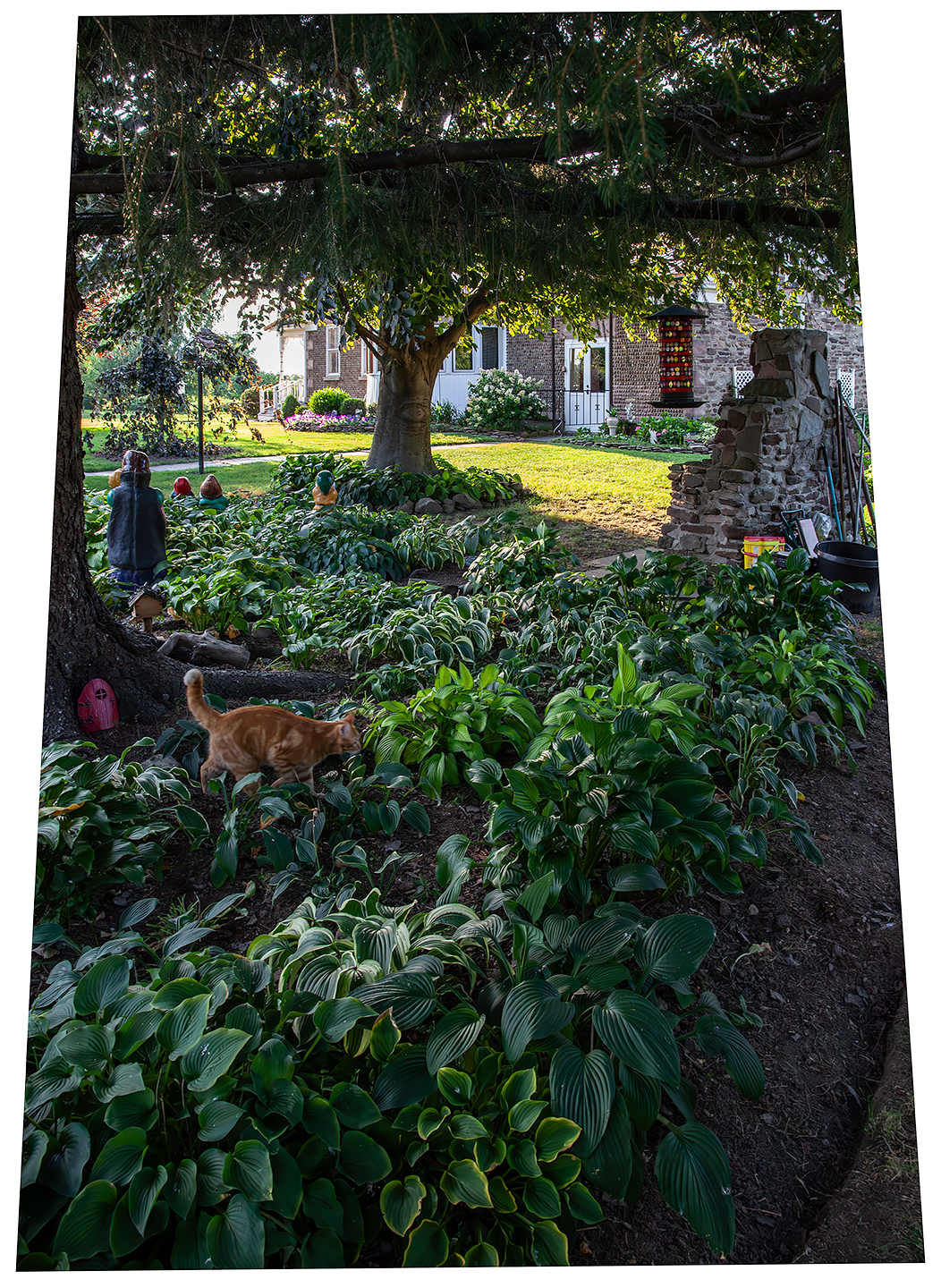 CAR-1 Consler 150813_7026Email